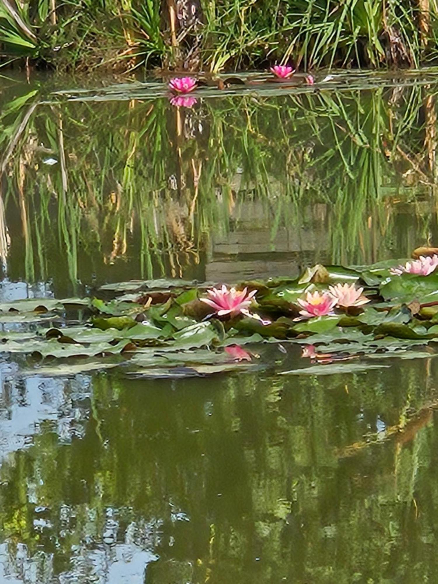 Zen Style * Fromelles